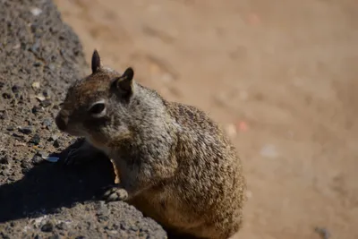 DSC_6845 (Large).JPG